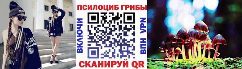 Псилоцибиновые грибы прущие грибы  цена   Медвежьегорск 